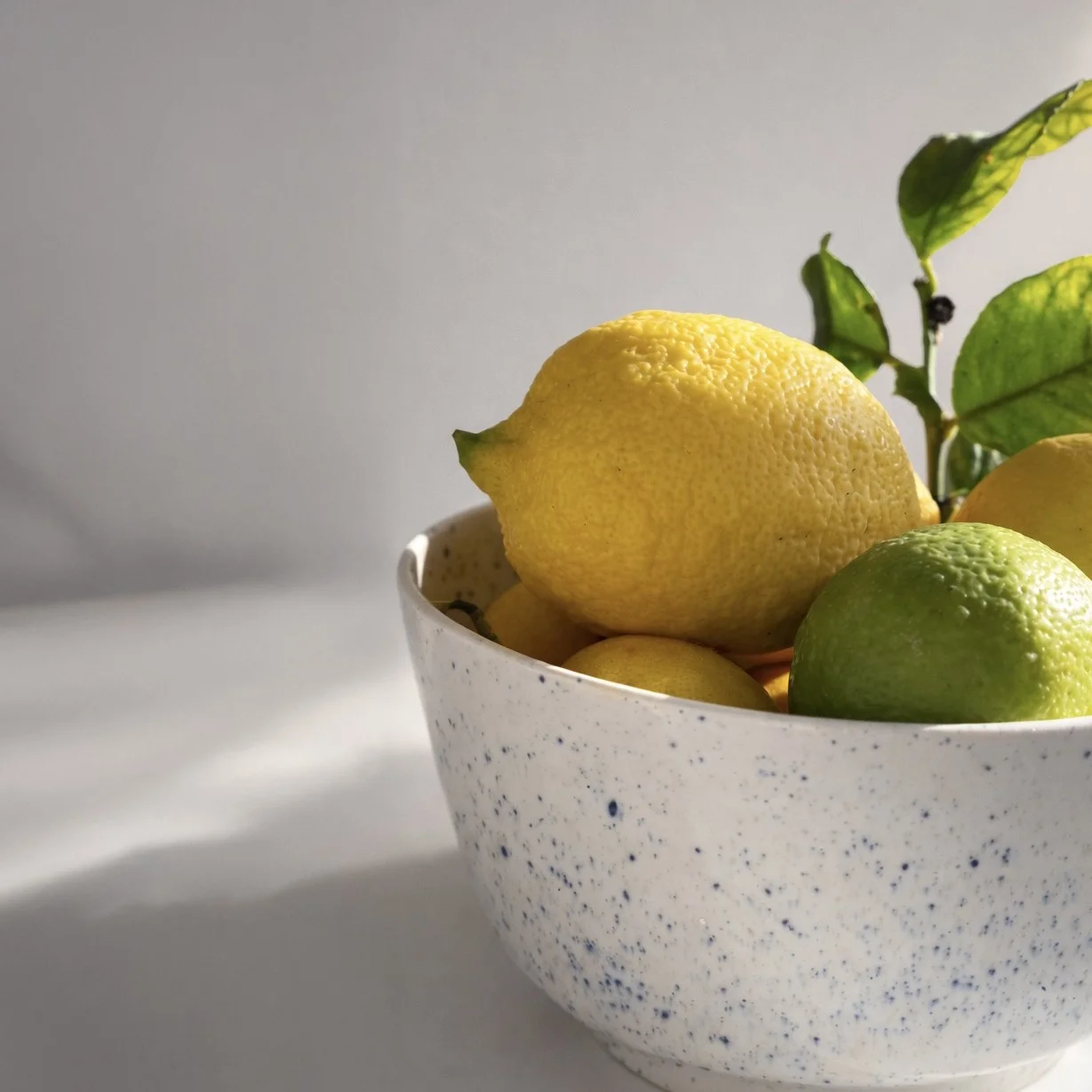 Speckled Bowl view 2