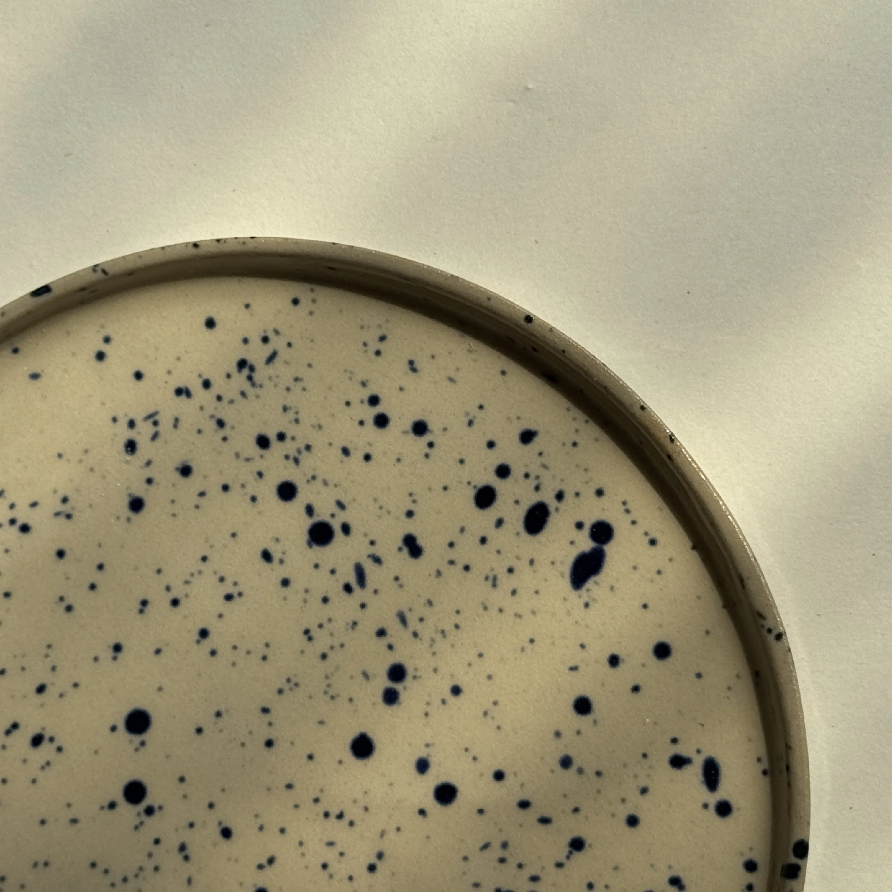 Cutie Plate - Blue Dust view 2