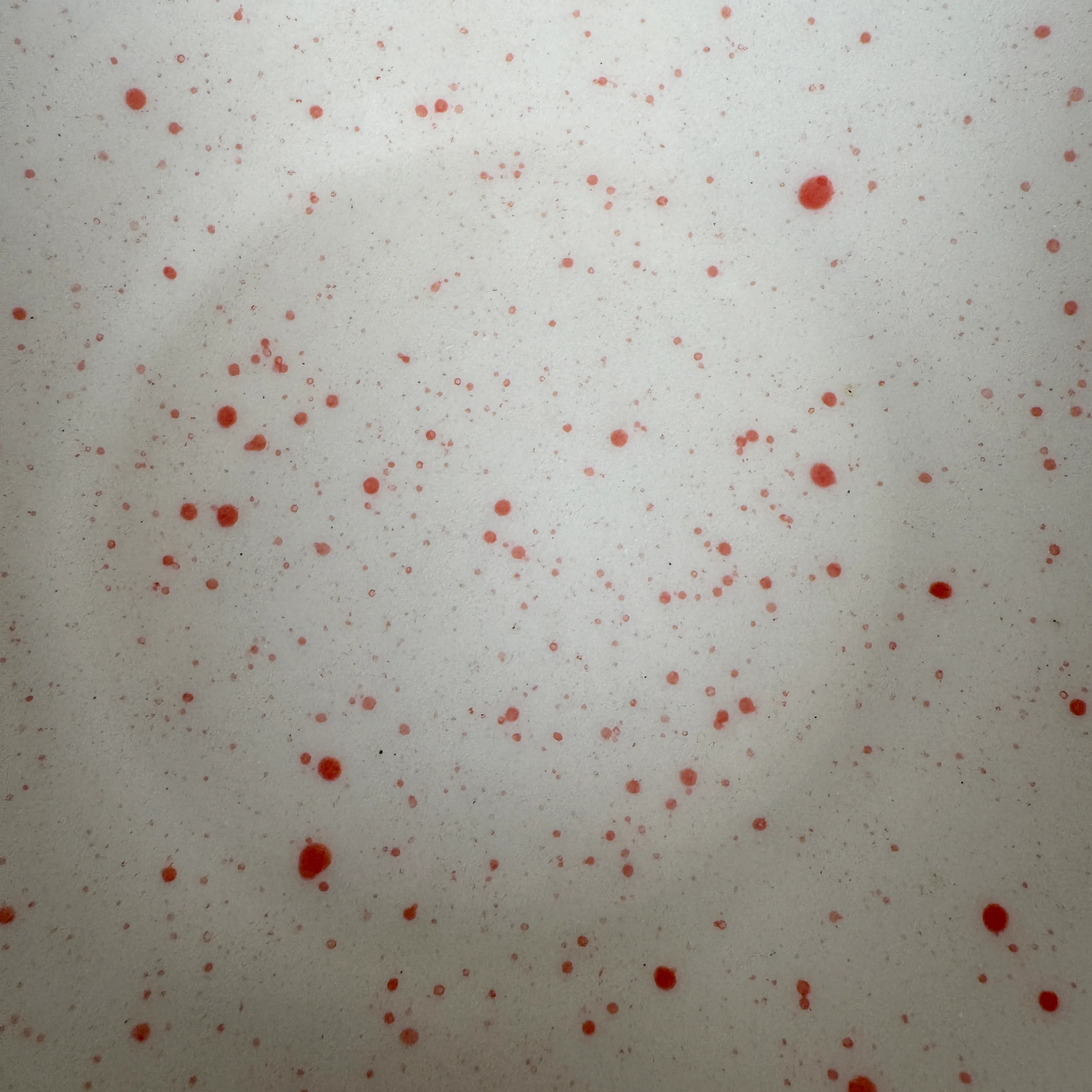 Do-It-All-Bowl - Red Dust view 3